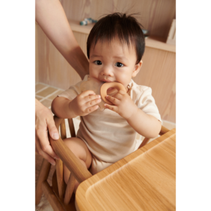 리우드 쿨링 치발기 (냉장보관) - 페일 토스카니 | Rita Elephant Cooling Teether 2-Pack - Pale tuscany / Sandy