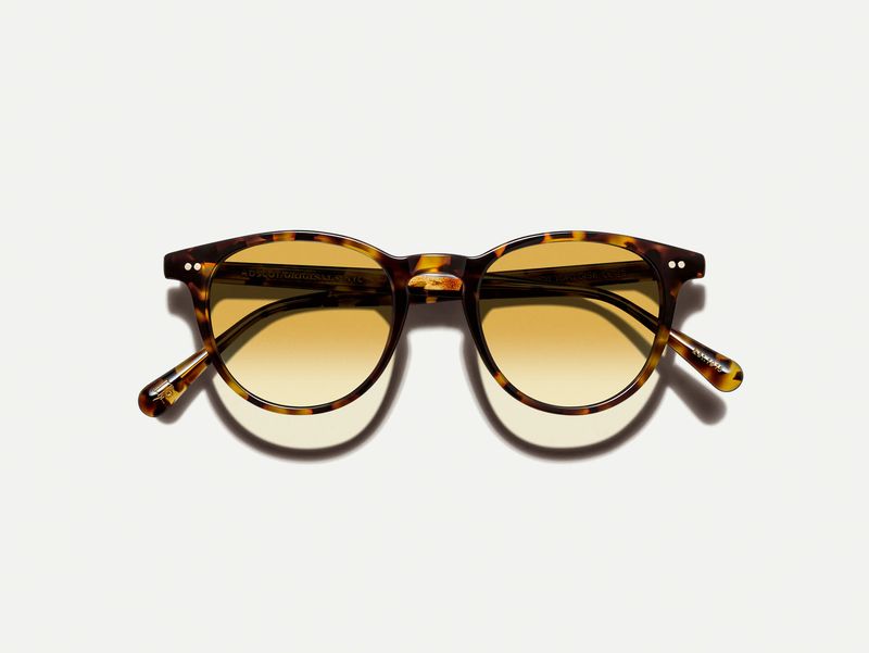 Moscot JARED SUN