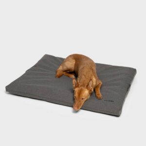 Cloud7 Outdoor Dog Bed Siesta Light Graphite