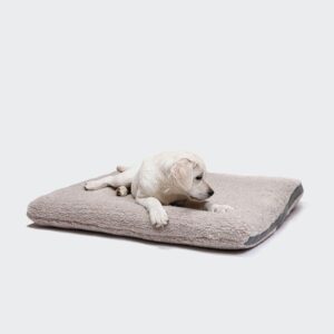 Cloud7 Dog Bed Siesta Teddy