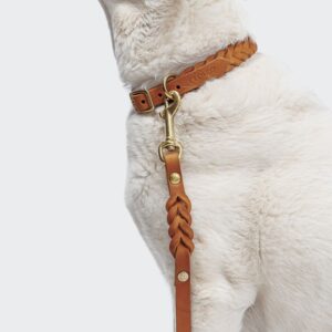 Cloud7 Dog Leash Riverside Park Camel Gold
