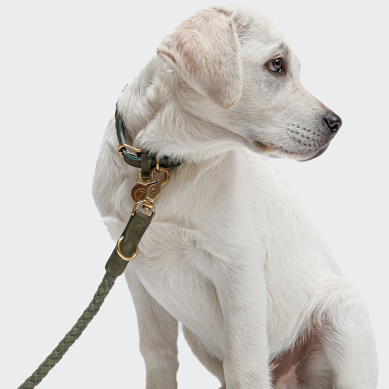 Cloud7 Dog Leash Ravello Moss