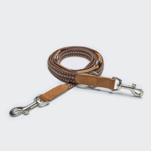 Cloud7 Dog Leash Prater Sunset