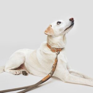 Cloud7 Dog Leash Tivoli Greige