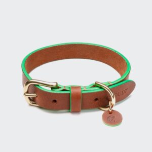 Cloud7 Dog Collar Kings Park Cognac/Green