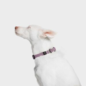 Cloud7 Dog Collar BioThane Ipanema Lilac