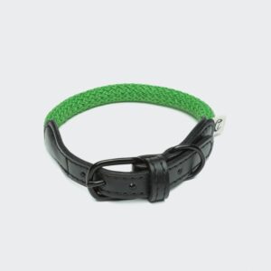 Cloud7 Dog Collar Mauerpark Grass
