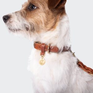 Cloud7 Dog Collar Hyde Park Cognac