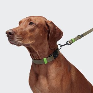 Cloud7 Dog Collar BioThane Ipanema Olive-Neon Green