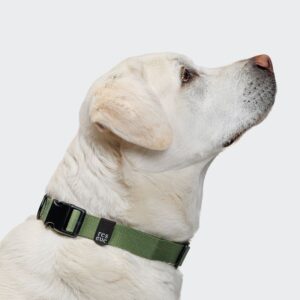 Cloud7 Nylon Dog Collar RESC7UE Green