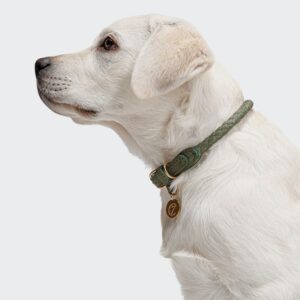 Cloud7 Dog Collar Ravello Moss
