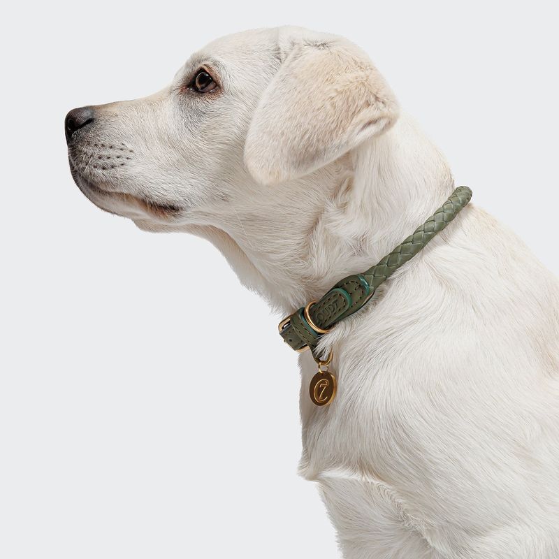 Cloud7 Dog Collar Ravello Moss