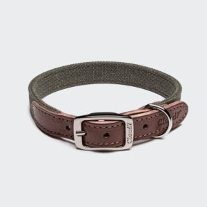 Cloud7 Dog Collar Tivoli Olive