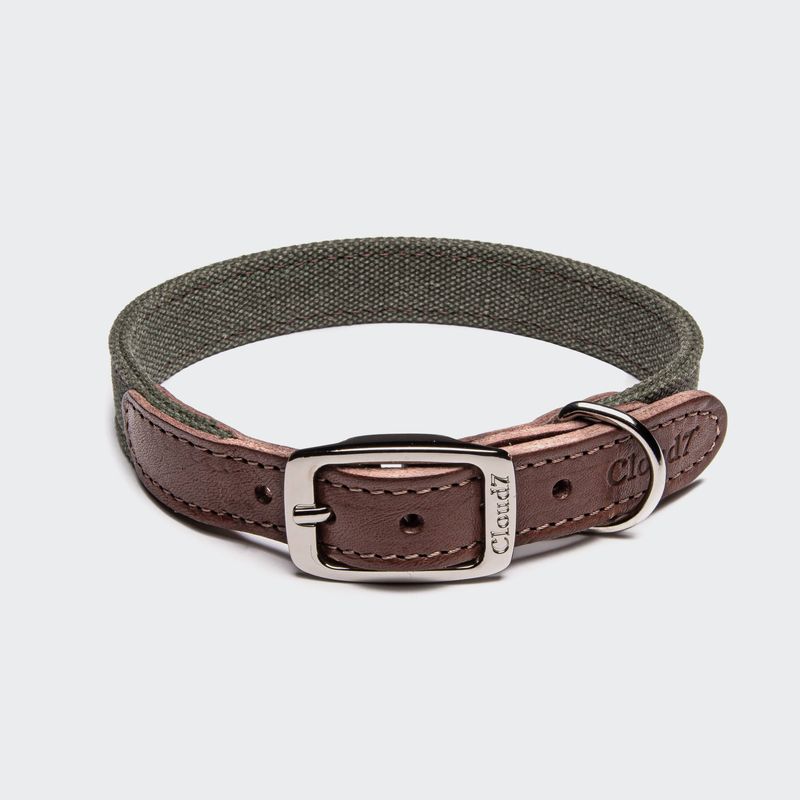 Cloud7 Dog Collar Tivoli Olive