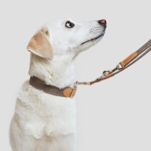 Cloud7 Dog Collar Tivoli Greige