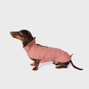 Cloud7 Dachshund Raincoat Dublin 2.0 Faded Rose