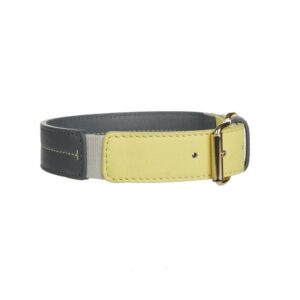 Mungo & Maud Bauhaus Dog Collar