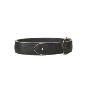 Mungo & Maud Etoile Dog Collar