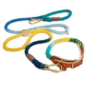 Found My Animal Leash & Collar Bundle + Dog Pouch