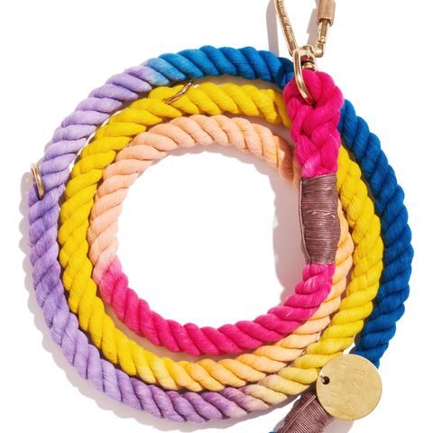 Found My Animal Light Prismatic Cotton Rope Dog Leash by Found My Animal | Adjustable & Handcrafted - Image 2