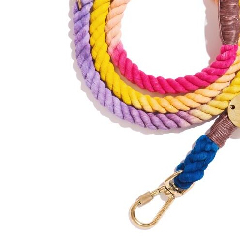Found My Animal Light Prismatic Cotton Rope Dog Leash by Found My Animal | Adjustable & Handcrafted - Image 3
