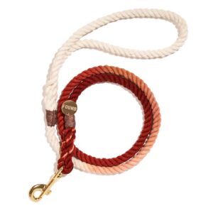 Found My Animal The Arizona Cotton Rope Dog Leash, Standard - 5FT