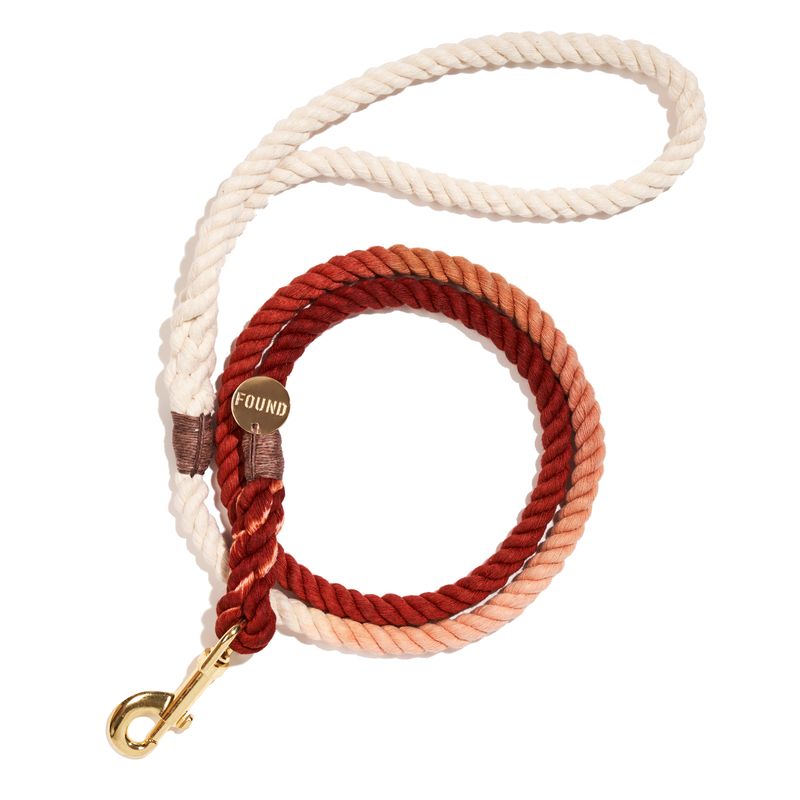 Found My Animal The Arizona Cotton Rope Dog Leash, Standard - 5FT
