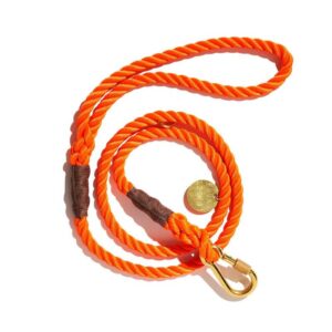 Found My Animal Orange Rope Dog Leash, Standard