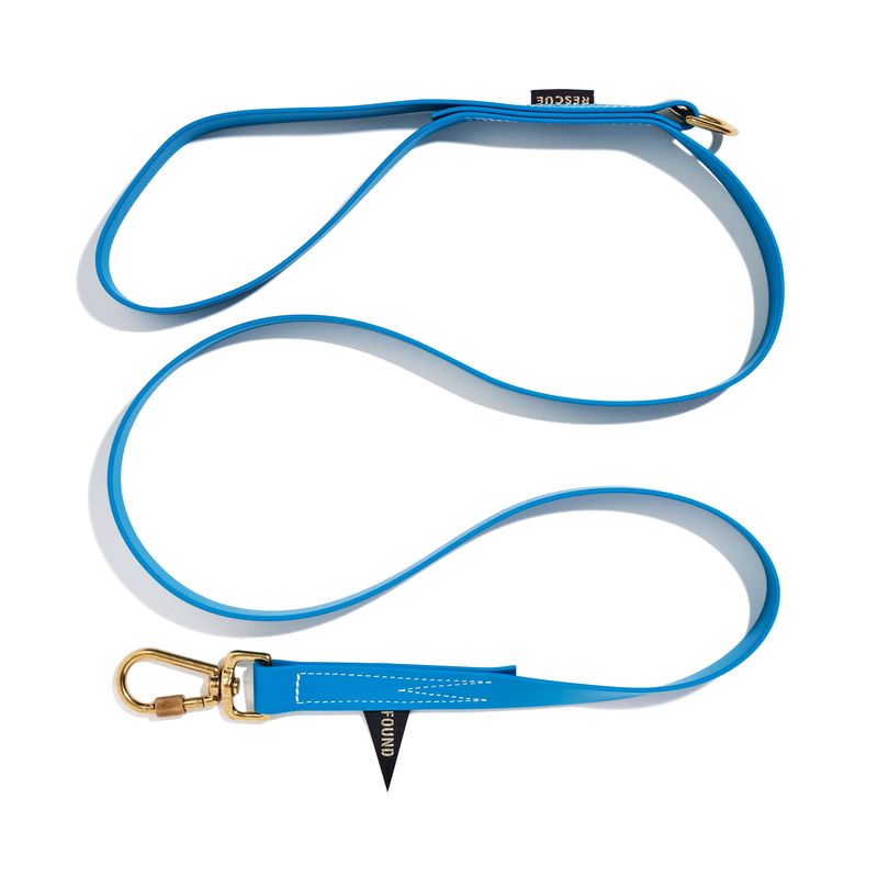 Found My Animal Water Resistant Standard 5ft Leash, Aqua | Found My Animal