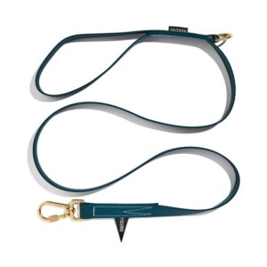 Found My Animal Water Resistant Standard 5ft Leash, Hunter Green | Found My Animal