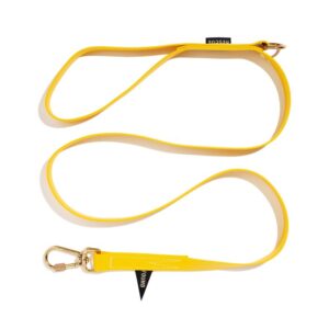 Found My Animal Water Resistant Standard 5ft Leash, Yellow | Found My Animal