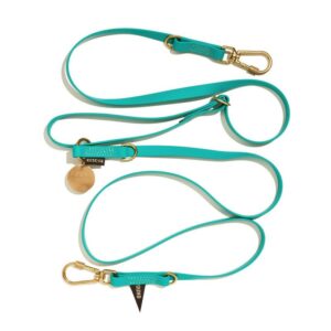 Found My Animal New! Water-Resistant Adjustable 7ft Leash, Aqua | Found My Animal