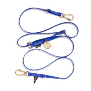 Found My Animal New! Water Resistant Adjustable 7ft Leash, Bright Blue | Found My Animal