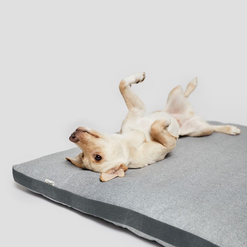 Cloud7 Dog Bed Siesta Tweed Grey - Image 2