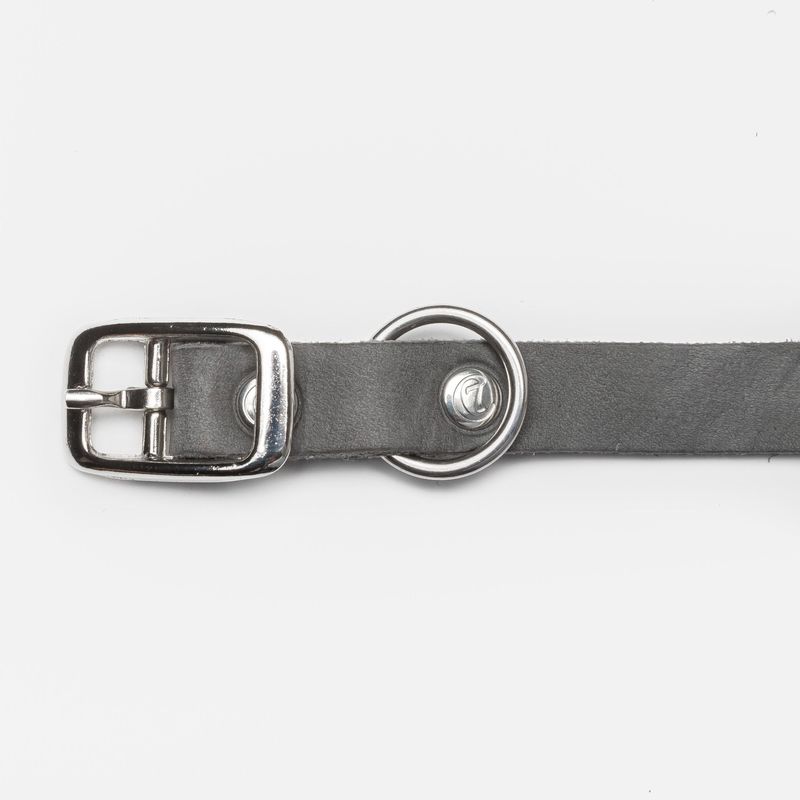 Cloud7 Dog Collar Riverside Park Elephant Silver - Image 2