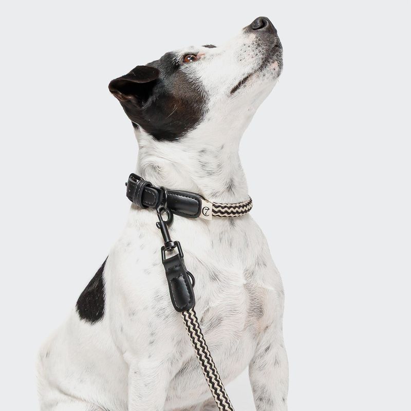 Cloud7 Dog Collar Mauerpark Zigzag Black - Image 2