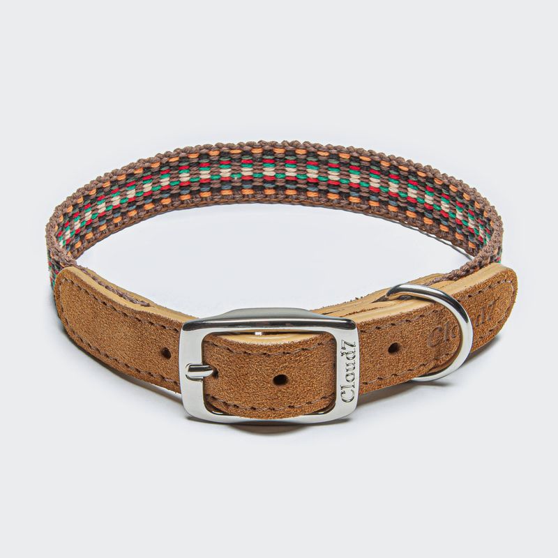 Cloud7 Dog Collar Prater Sunset - Image 2