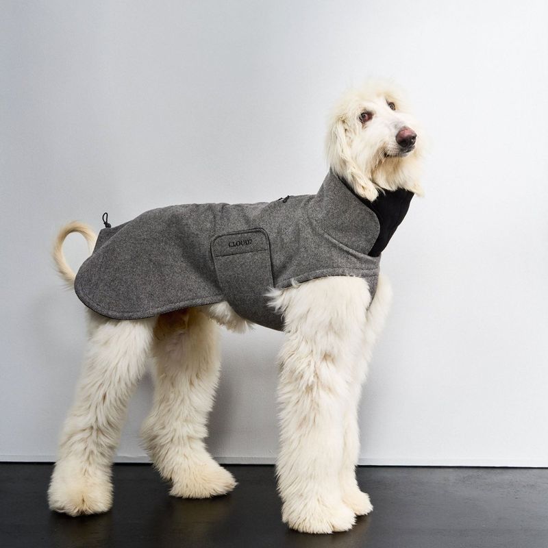 Cloud7 Dog Coat Brooklyn Long Tweed Black - Image 2