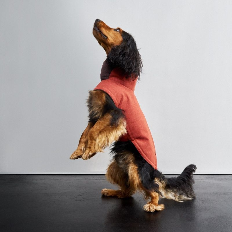 Cloud7 Dog Coat Brooklyn Rust - Image 2