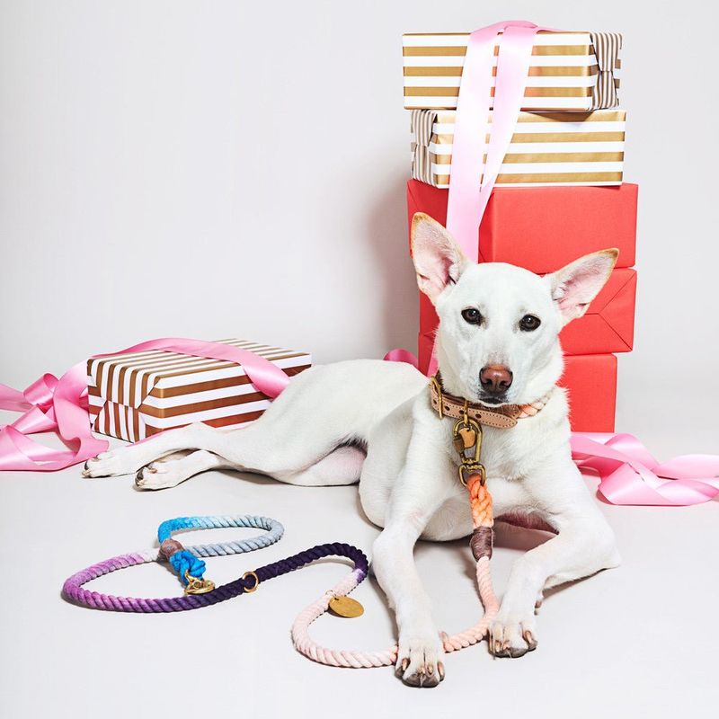 Found My Animal The Lois Ombre Cotton Rope Dog Leash, Adjustable | Found My Animal - Image 2