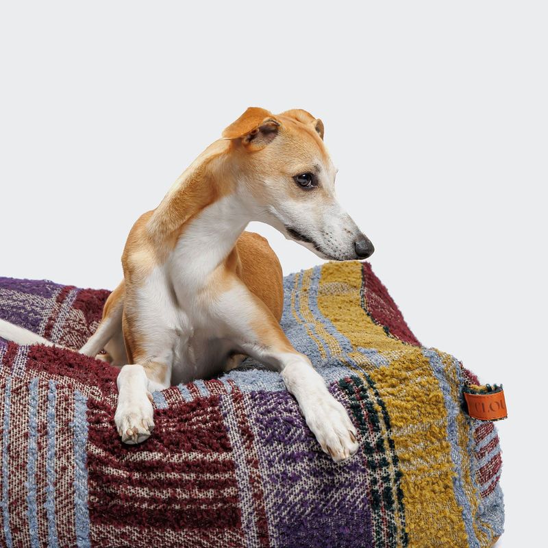 Cloud7 Dog Bed Cube Tartan Purple - Image 3