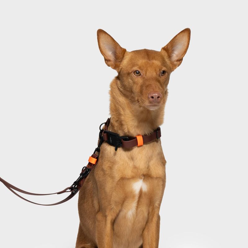 Cloud7 Adjustable Dog Leash BioThane Ipanema Dark Aubergine - Image 3