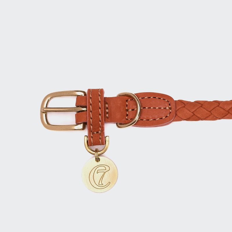 Cloud7 Dog Collar Ravello Rust - Image 3