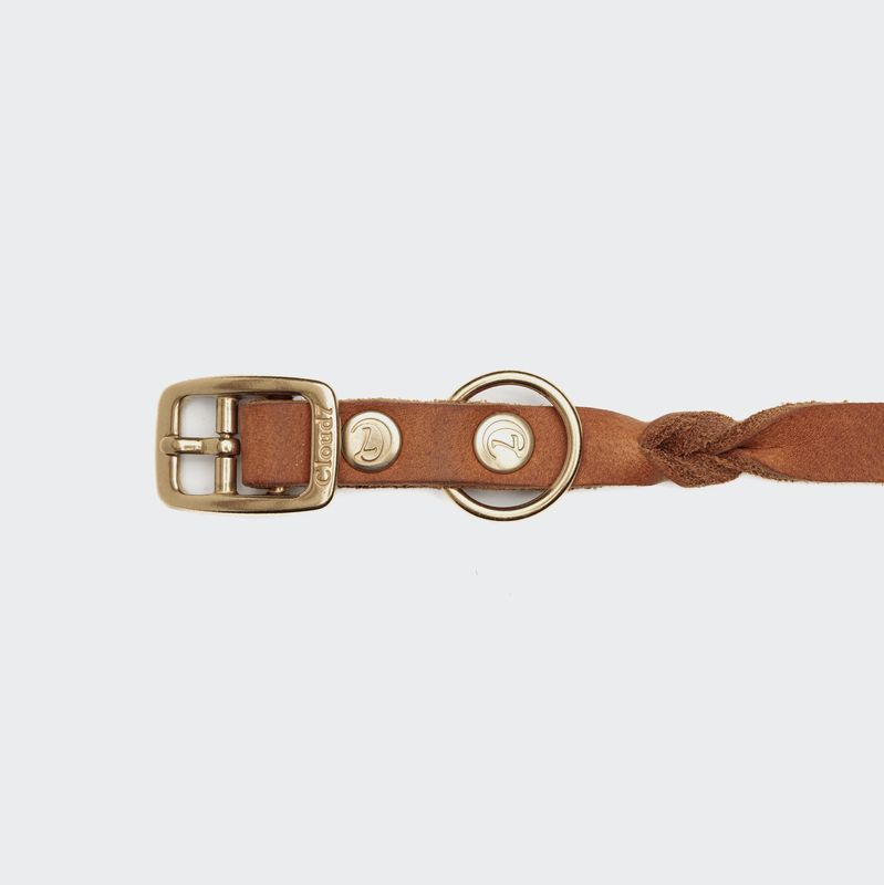 Cloud7 Dog Collar Riverlino Camel Gold - Image 3
