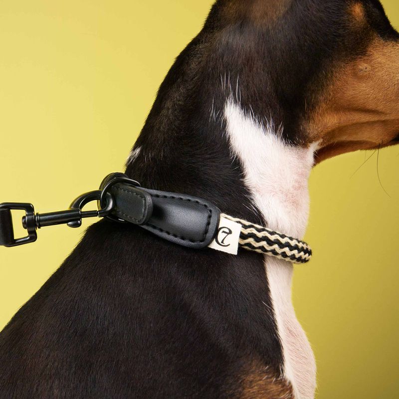 Cloud7 Dog Collar Mauerpark Zigzag Black - Image 3