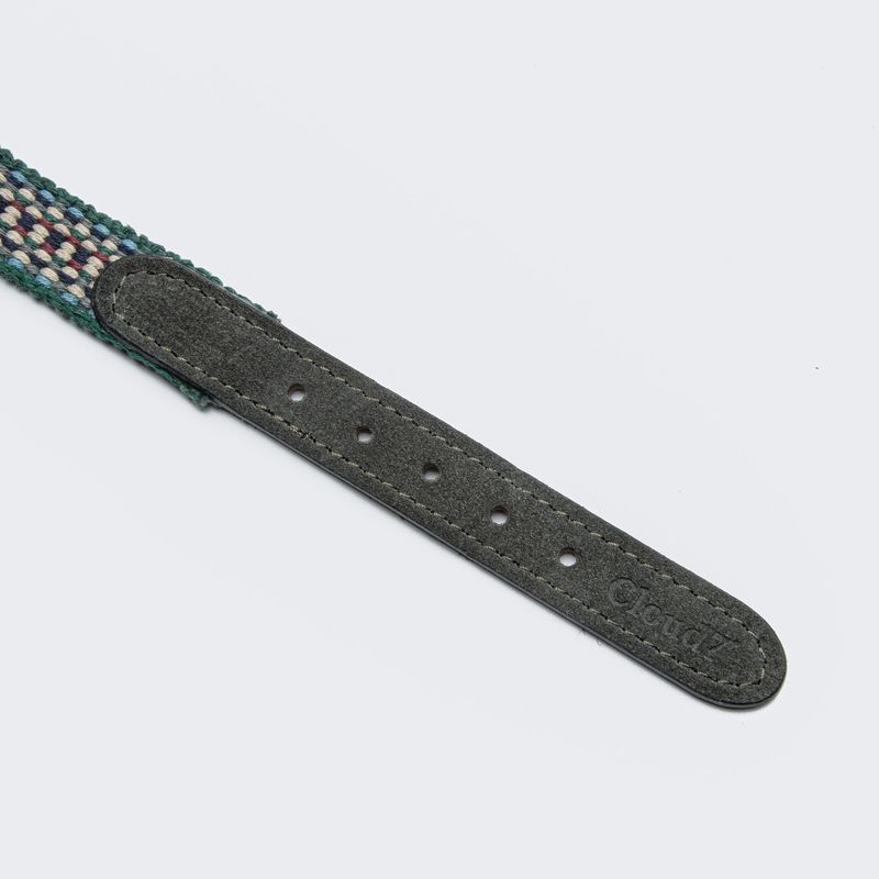 Cloud7 Dog Collar Prater Forest - Image 3