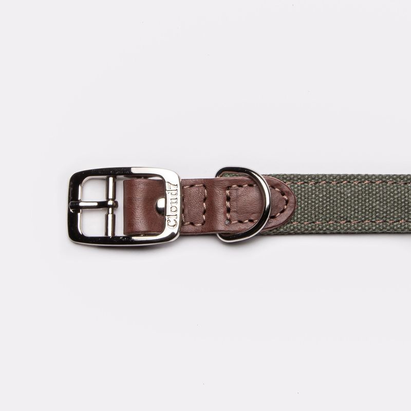 Cloud7 Dog Collar Tivoli Olive - Image 3