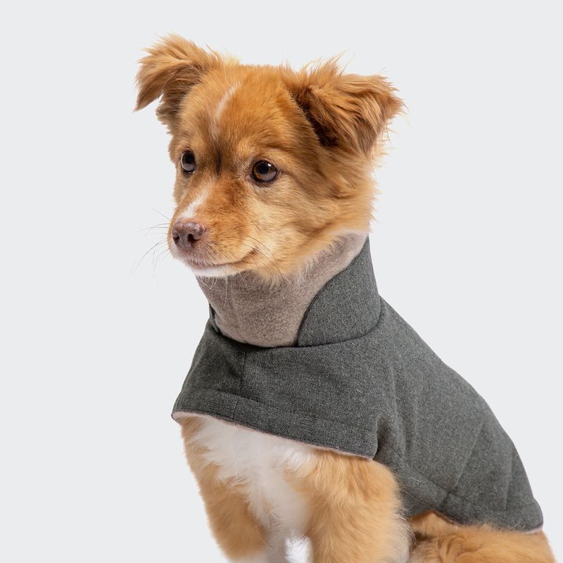 Cloud7 Dog Coat Brooklyn Light Graphite - Image 3
