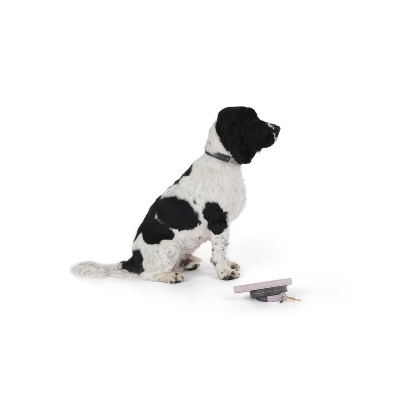 Mungo & Maud Bauhaus Dog Collar - Image 3