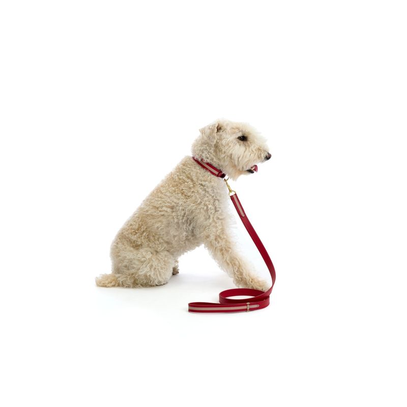 Mungo & Maud Torino Dog Collar - Image 3